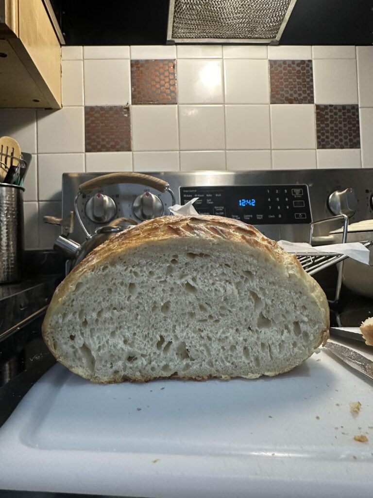 First loaf//thoughts?