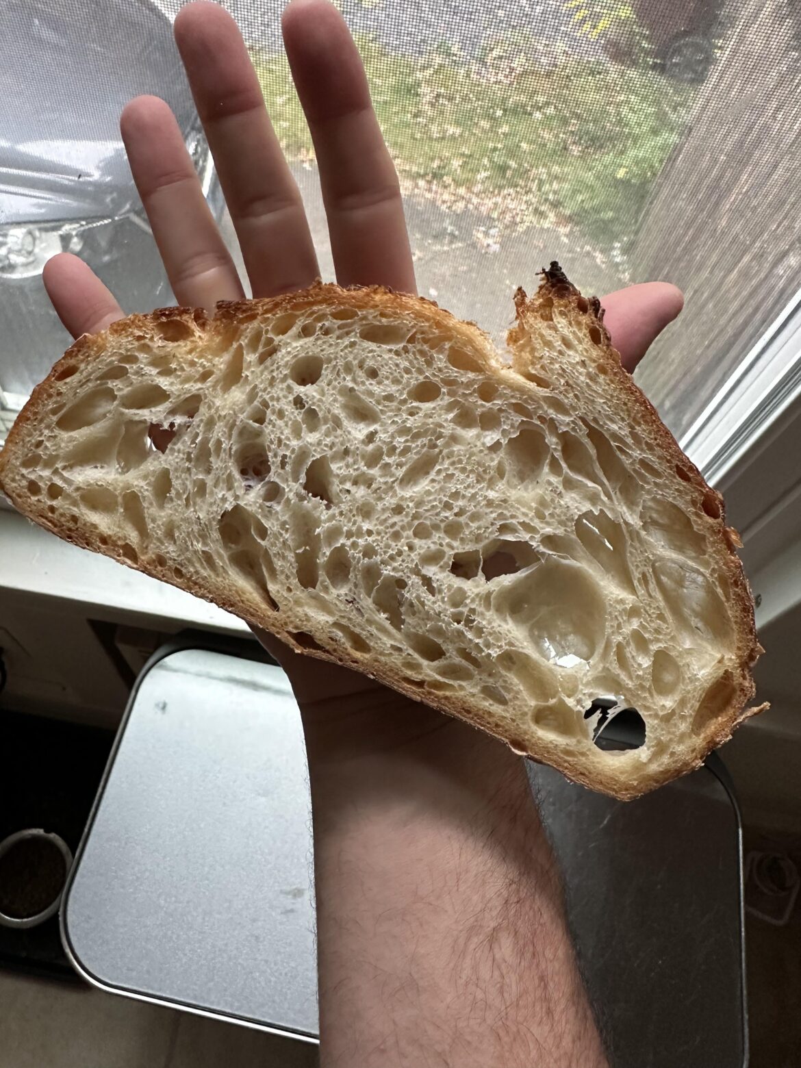 Fermentation Revelation