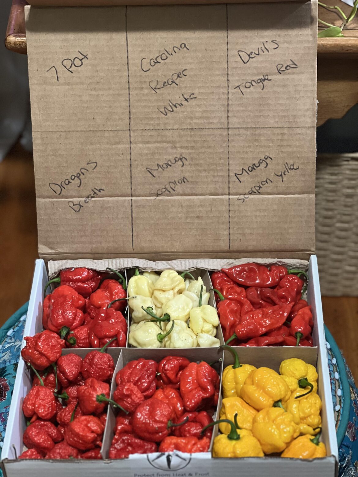 Thirsty to create super hot sauces!