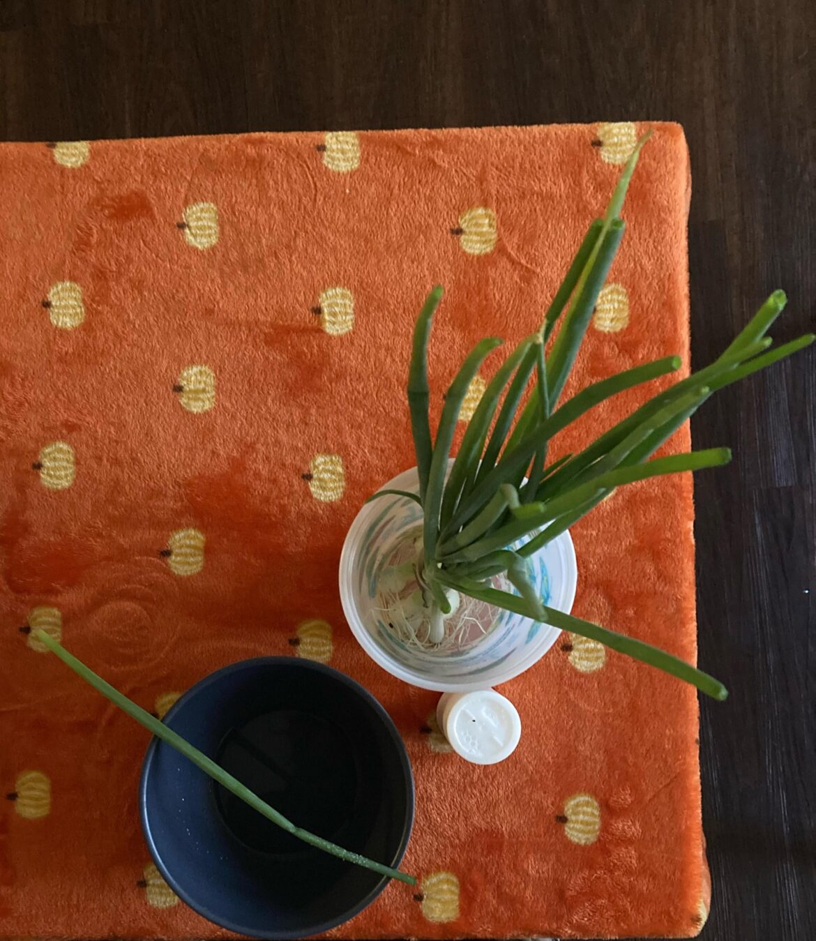 Green onions, salt, vinegar