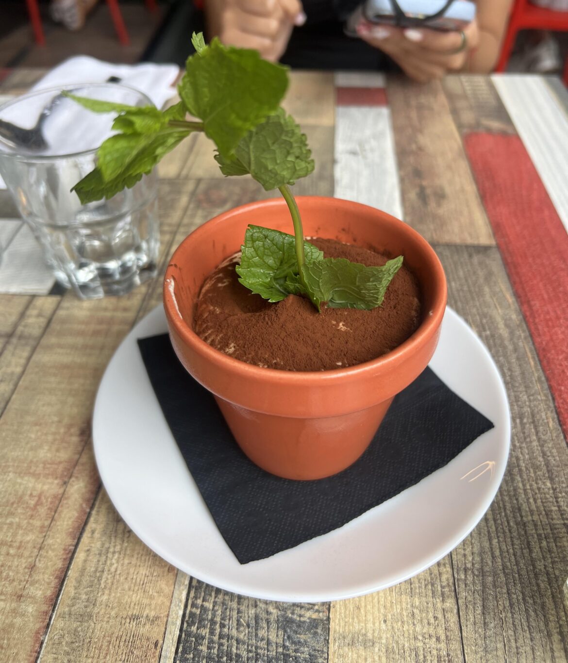 Tiramisu in a flower pot