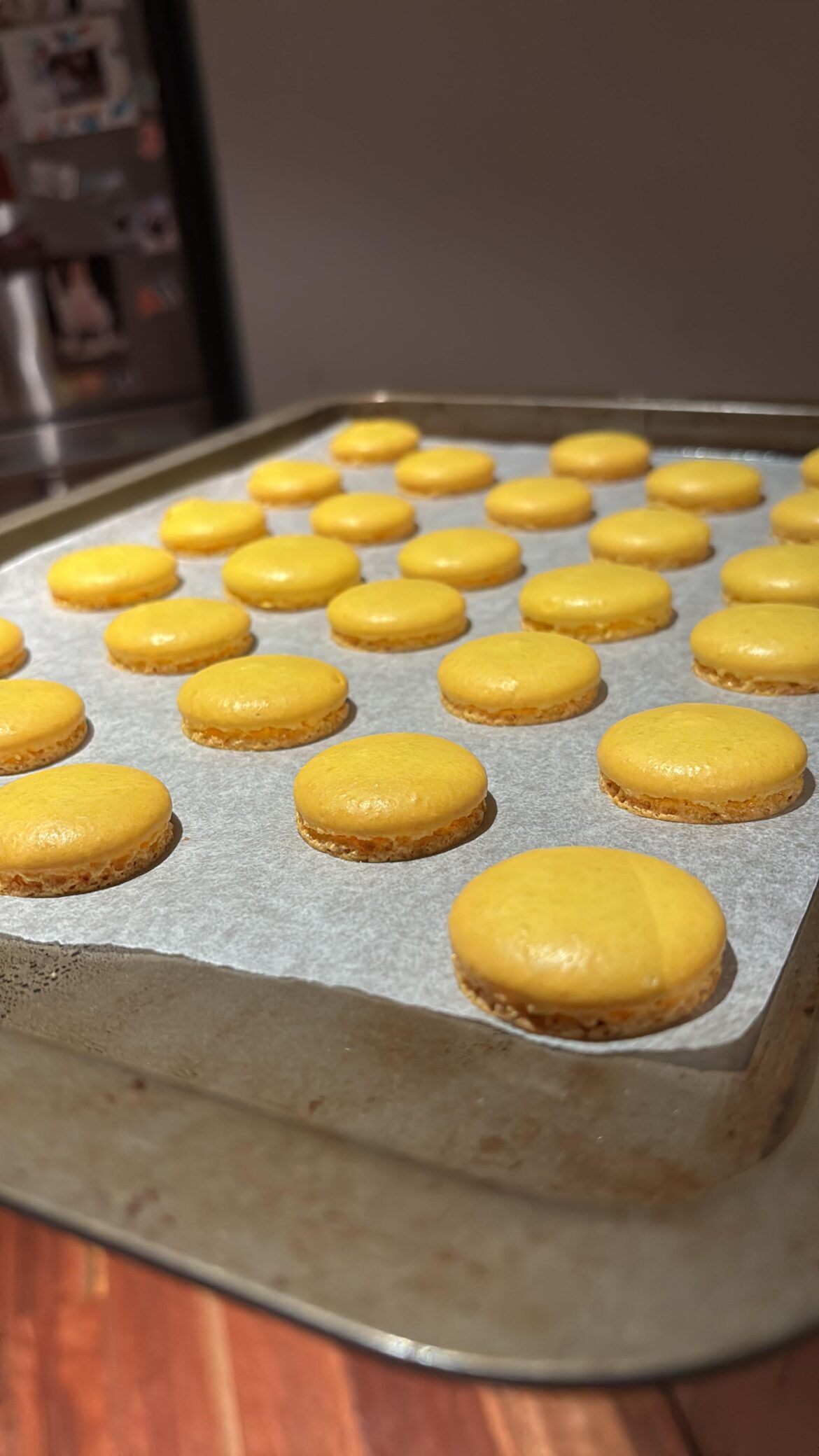 Show me your feet pics!