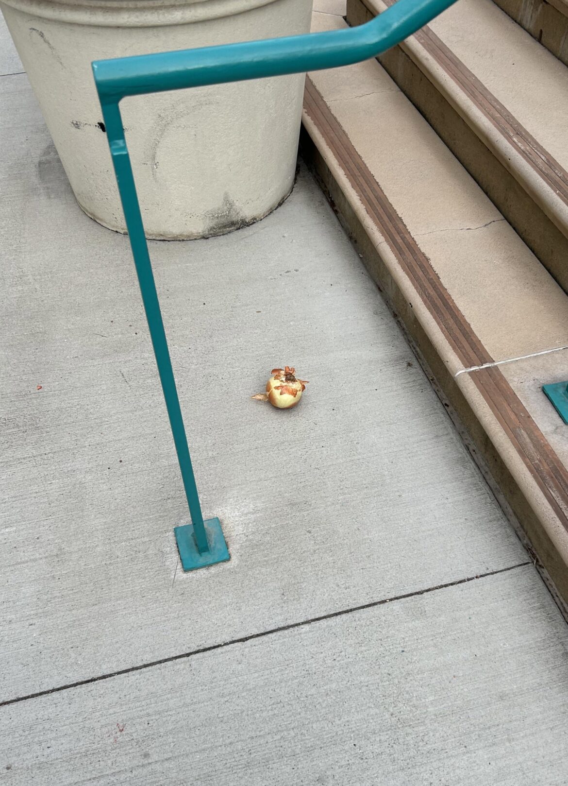 I can’t believe someone disrespected an onion like this I can't believe someone disrespected an onion like this