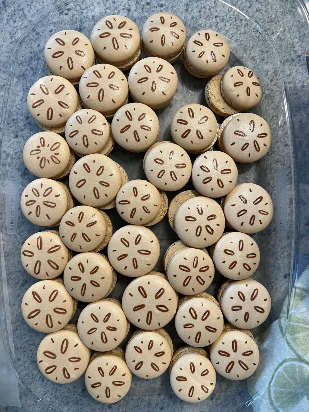 Traveling with Macarons and Condensation Issues Traveling with Macarons and Condensation Issues