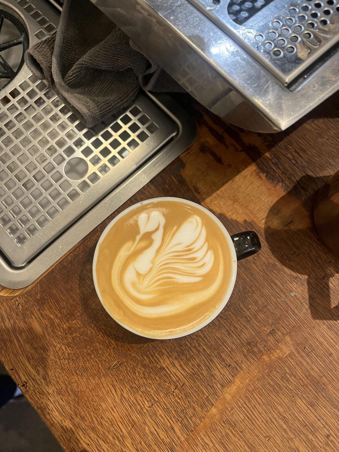 Advice to improve the swan (this is the best i’ve managed to do)