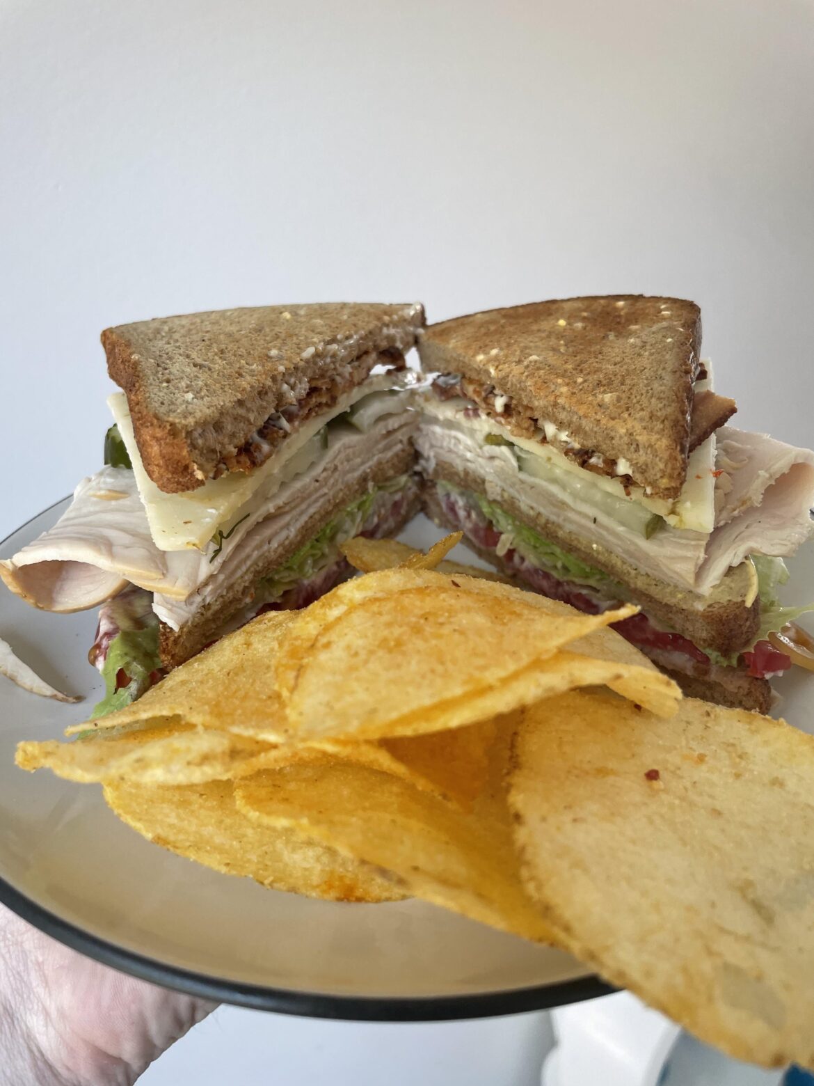 The Land, Air, and Sea