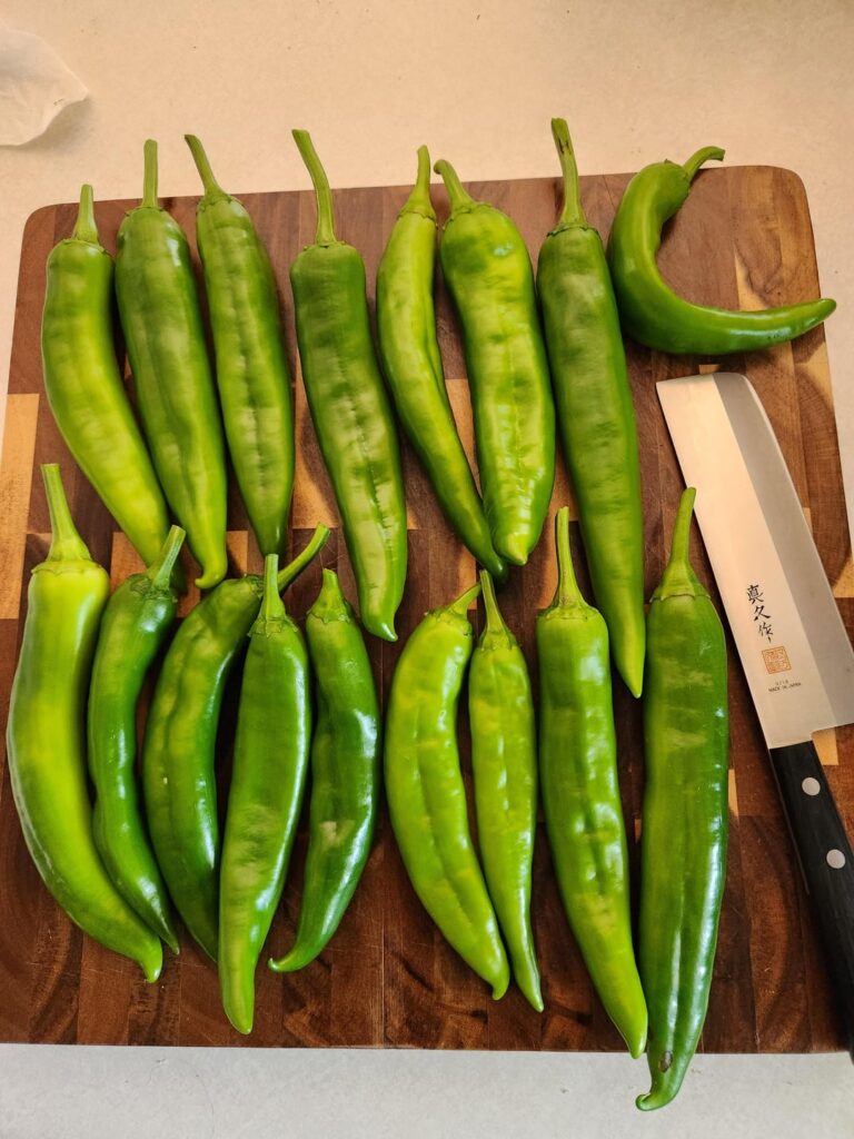 Harvested some New Mexico Big Jim Numex and made a green chili sauce for pulled pork burritos.