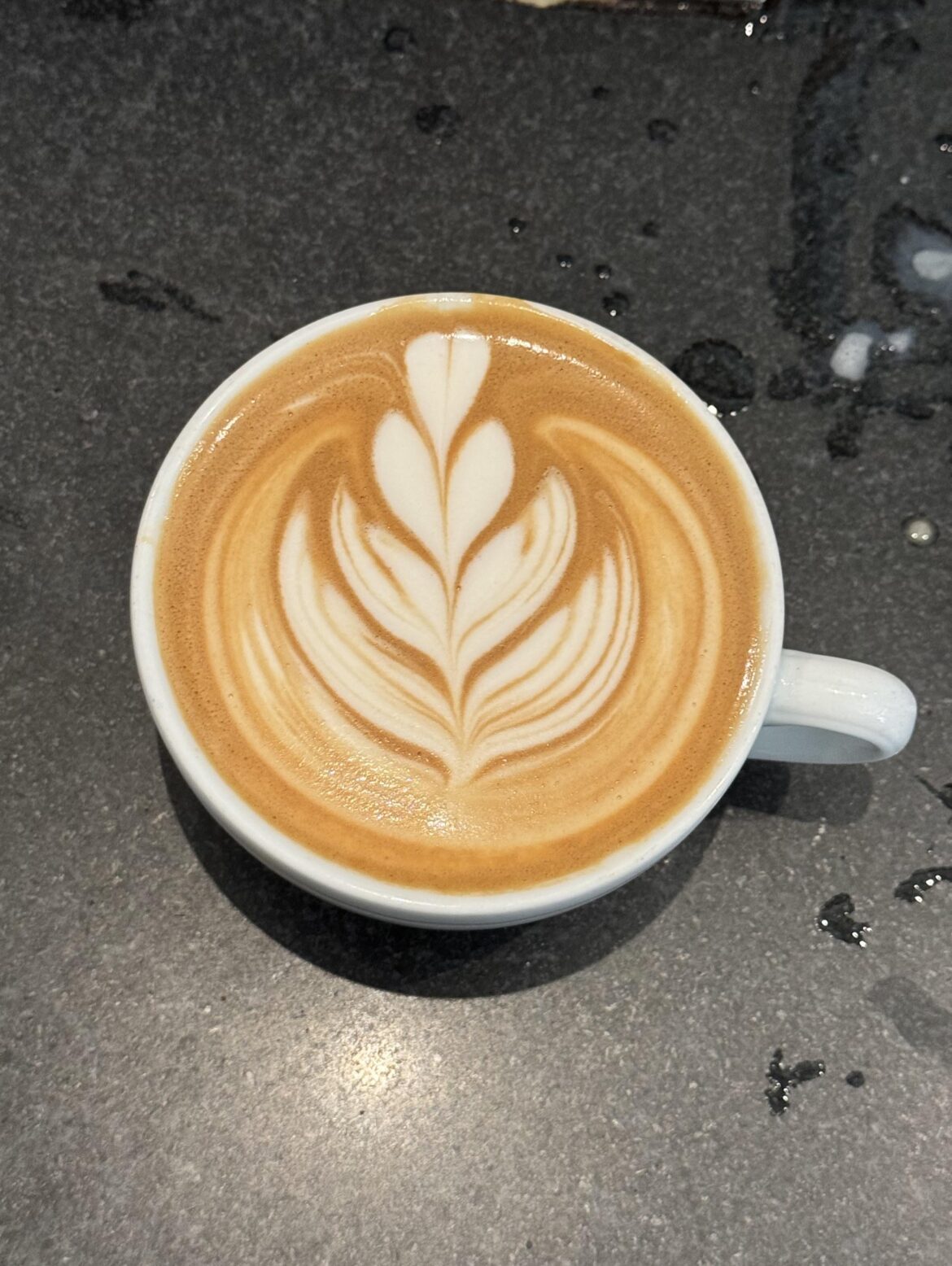 Very proud of this pour with oat milk :)