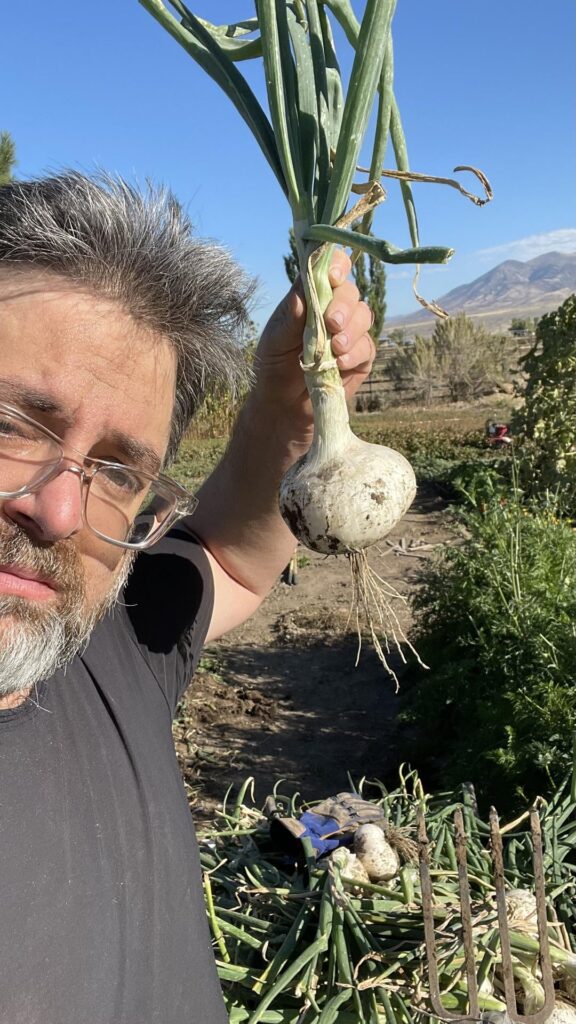 Harvesting white onions from my garden today. I might have enough to get through winter.