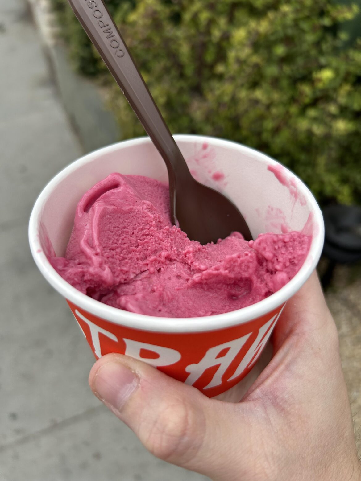 Finnriver’s Black Currant Apple Cider Sherbet at Salt & Straw