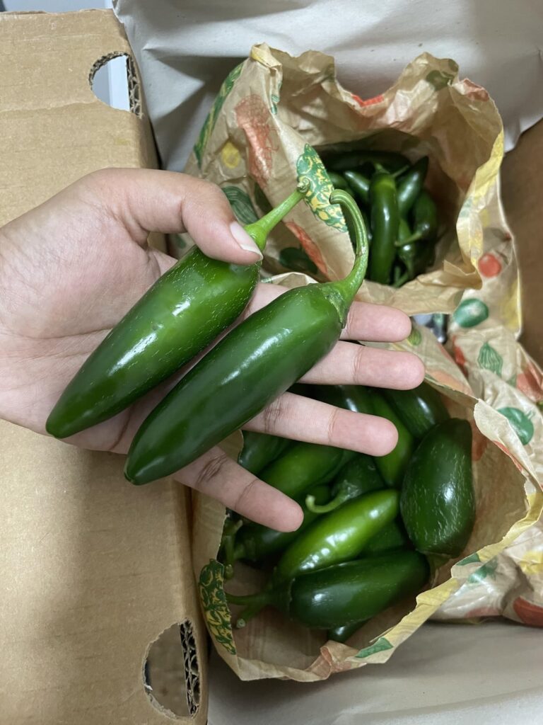 Fresh chili haul. How to freeze correctly ?