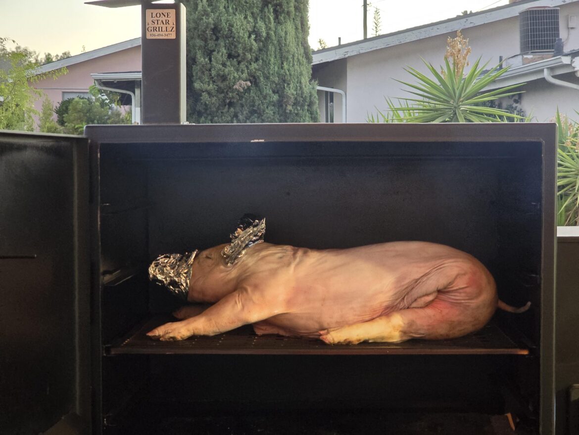 PIG on LSG Cabinet Pellet