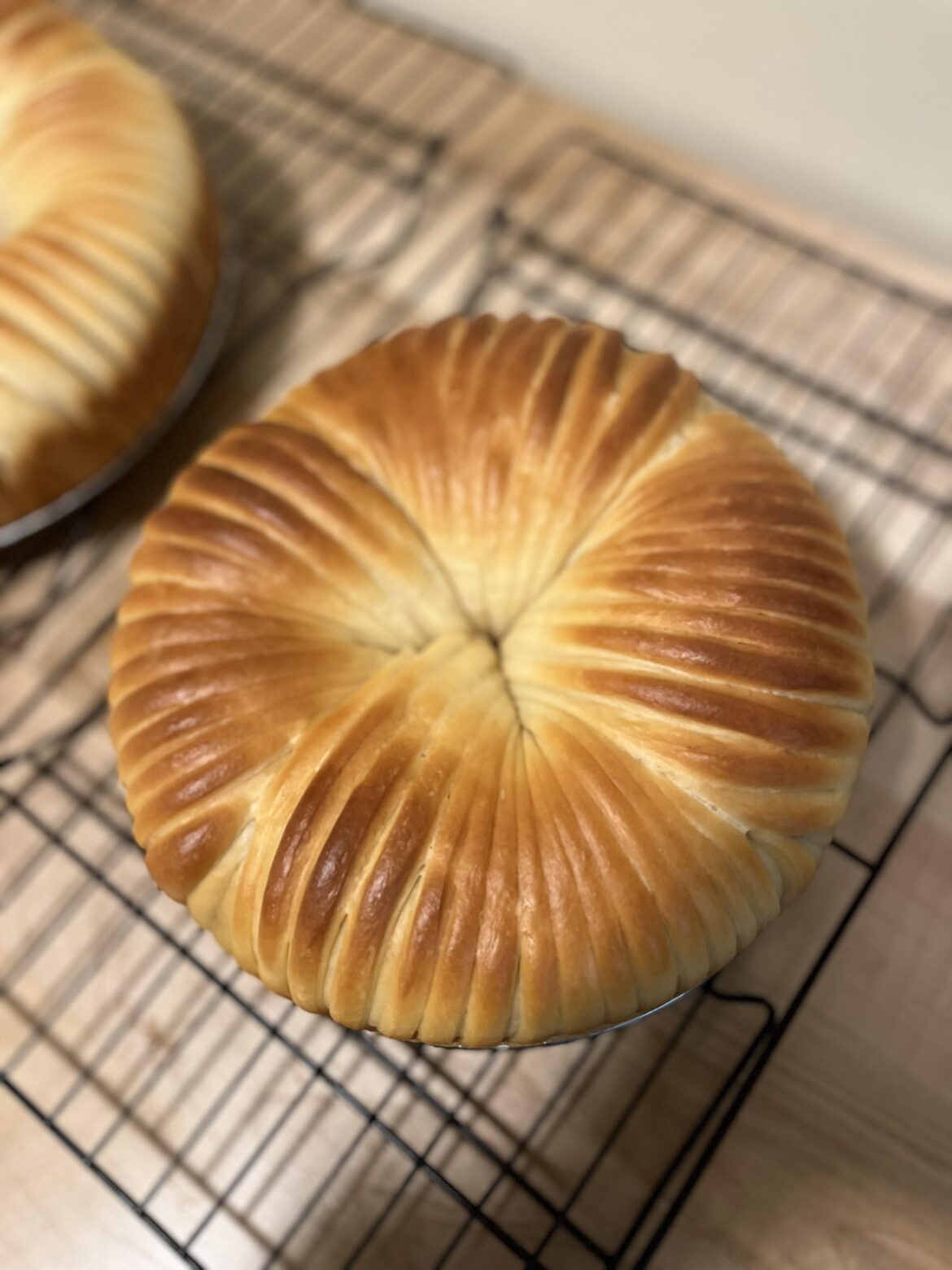 2 day training at work, so cinnamon sugar wool bread. Pillowy milk bread with a cinnamon sugar swirl.