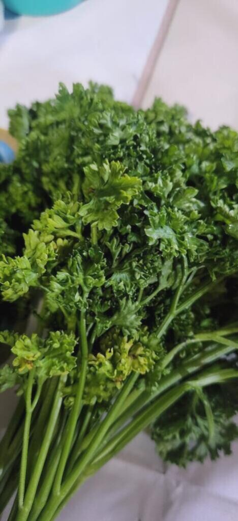 Hello everyone, may I use this kind of parsley for a chimichurri sauce?