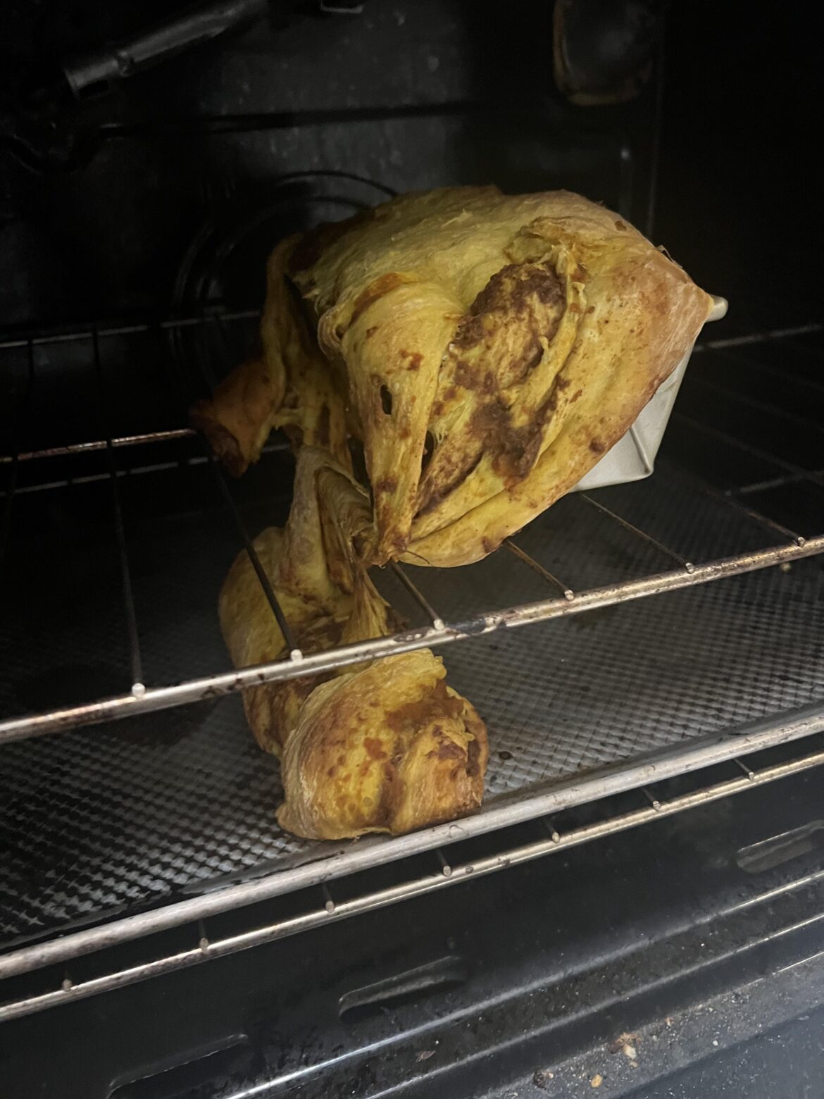 4 years in, this is my biggest catastrophe