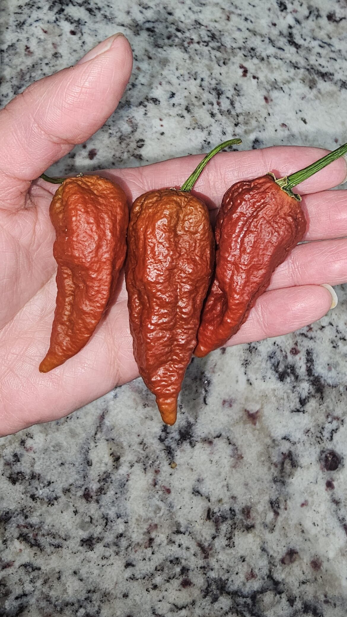 Leviathan gnarly scorpion