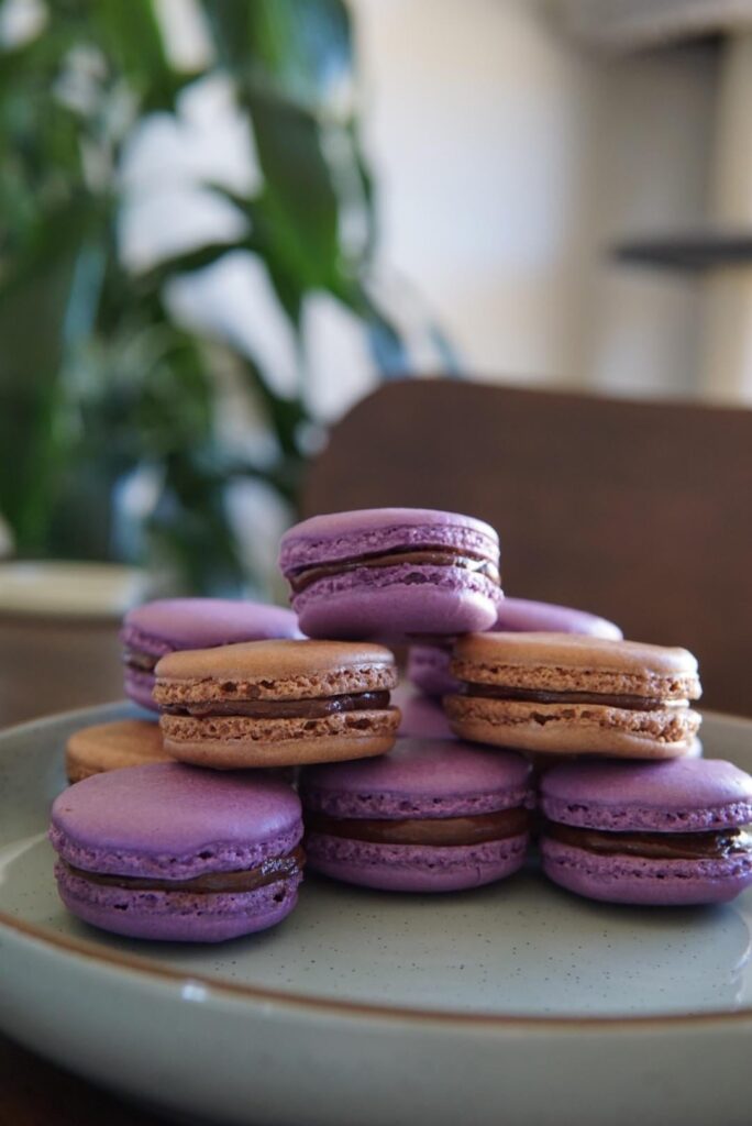 First successful batch! Ube/Chocolate w chocolate buttercream
