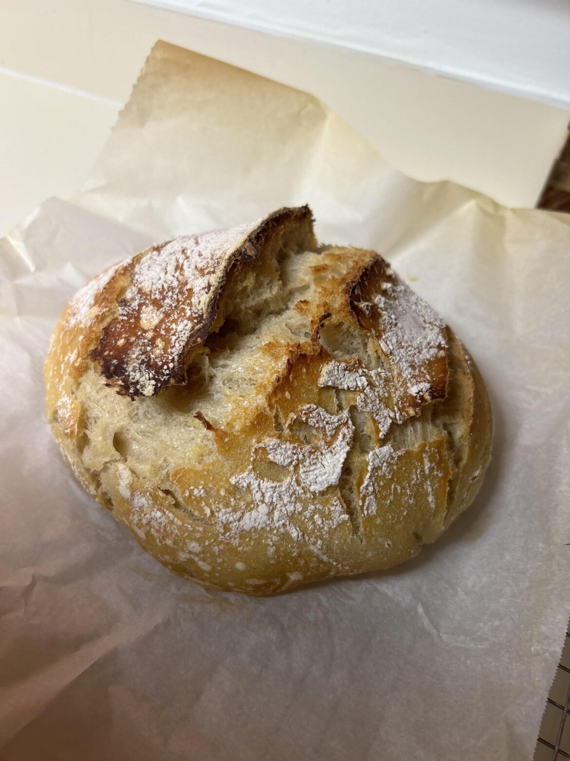 My GF’s first Sourdough