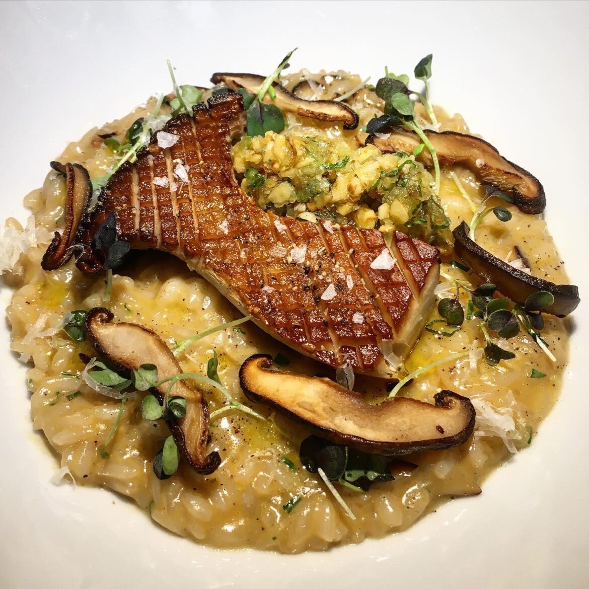 Mushroom risotto. Garnished with shiitake roasted king oyster mushroom chives parmesan microgreens and a coarse walnut and basil pesto.