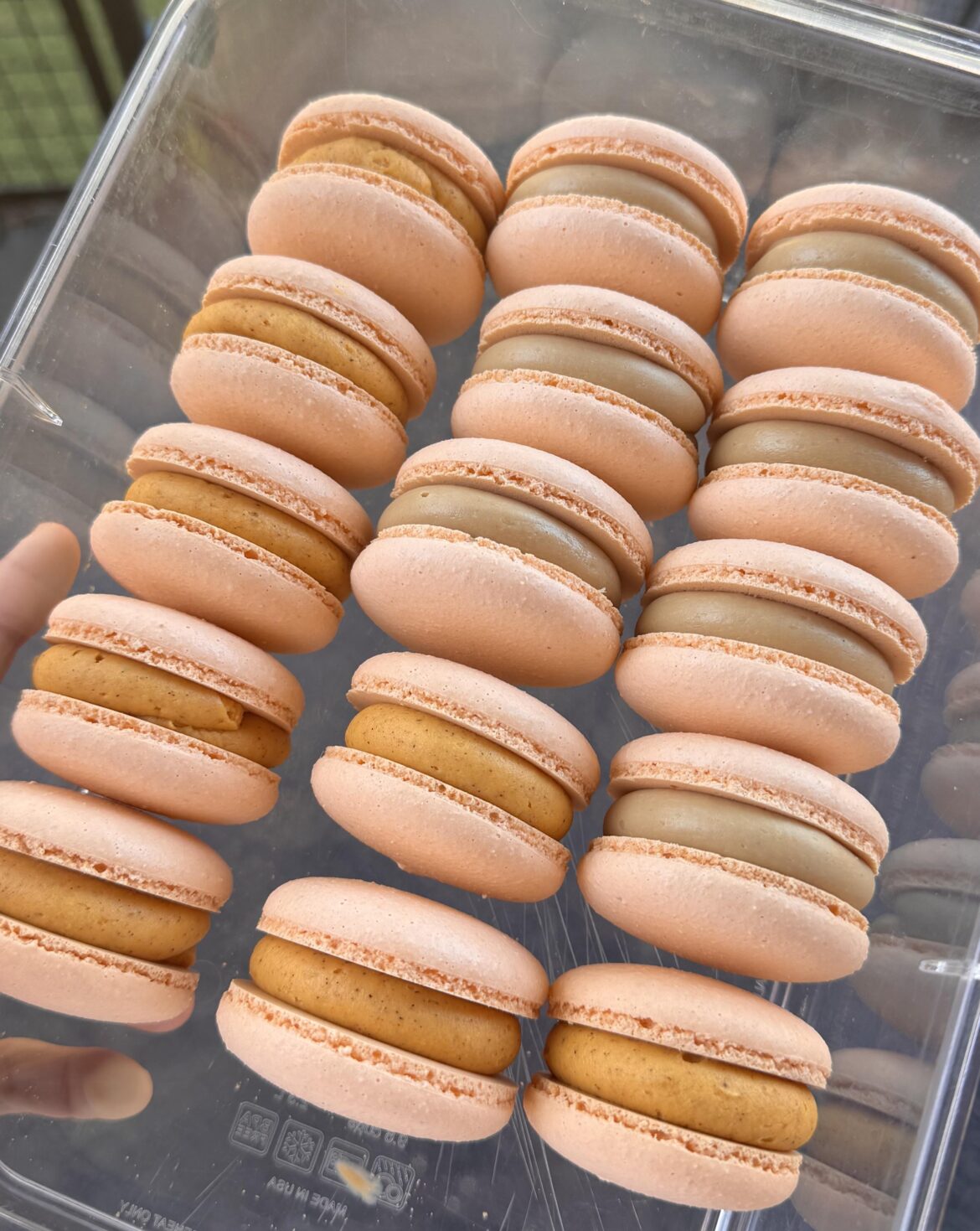 Not as fancy as y’alls gorgeous macs but just testing some ganache recipes I came up with last night. I needed to fill these test shells! Pumpkin cheesecake ganache and second attempt at cappuccino with baileys ganache (still a little too soft).