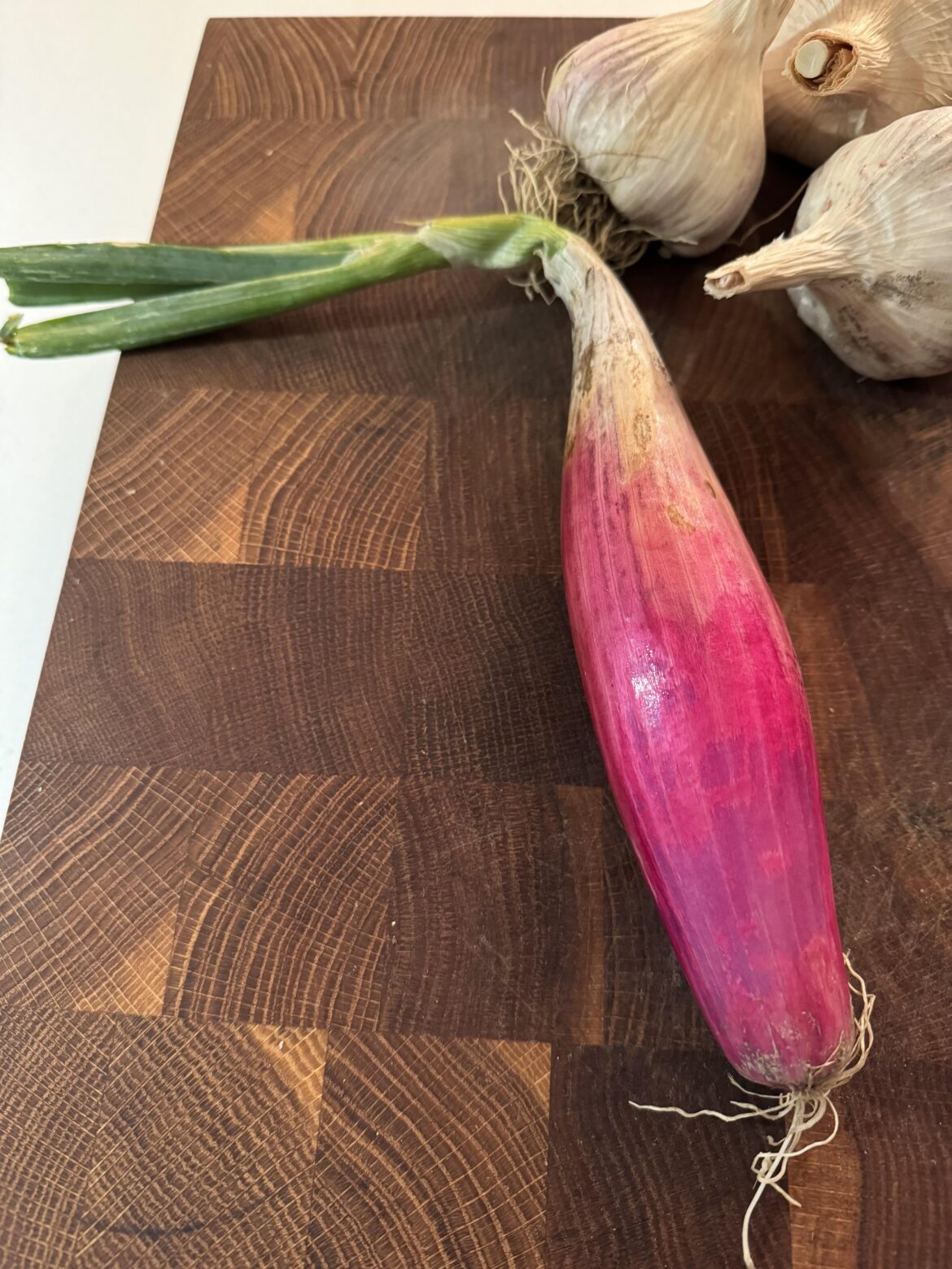 Massive shallot my MIL brought me from a farmers market