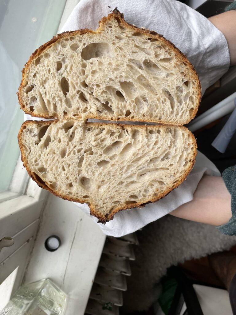 is this good crumb/bread?