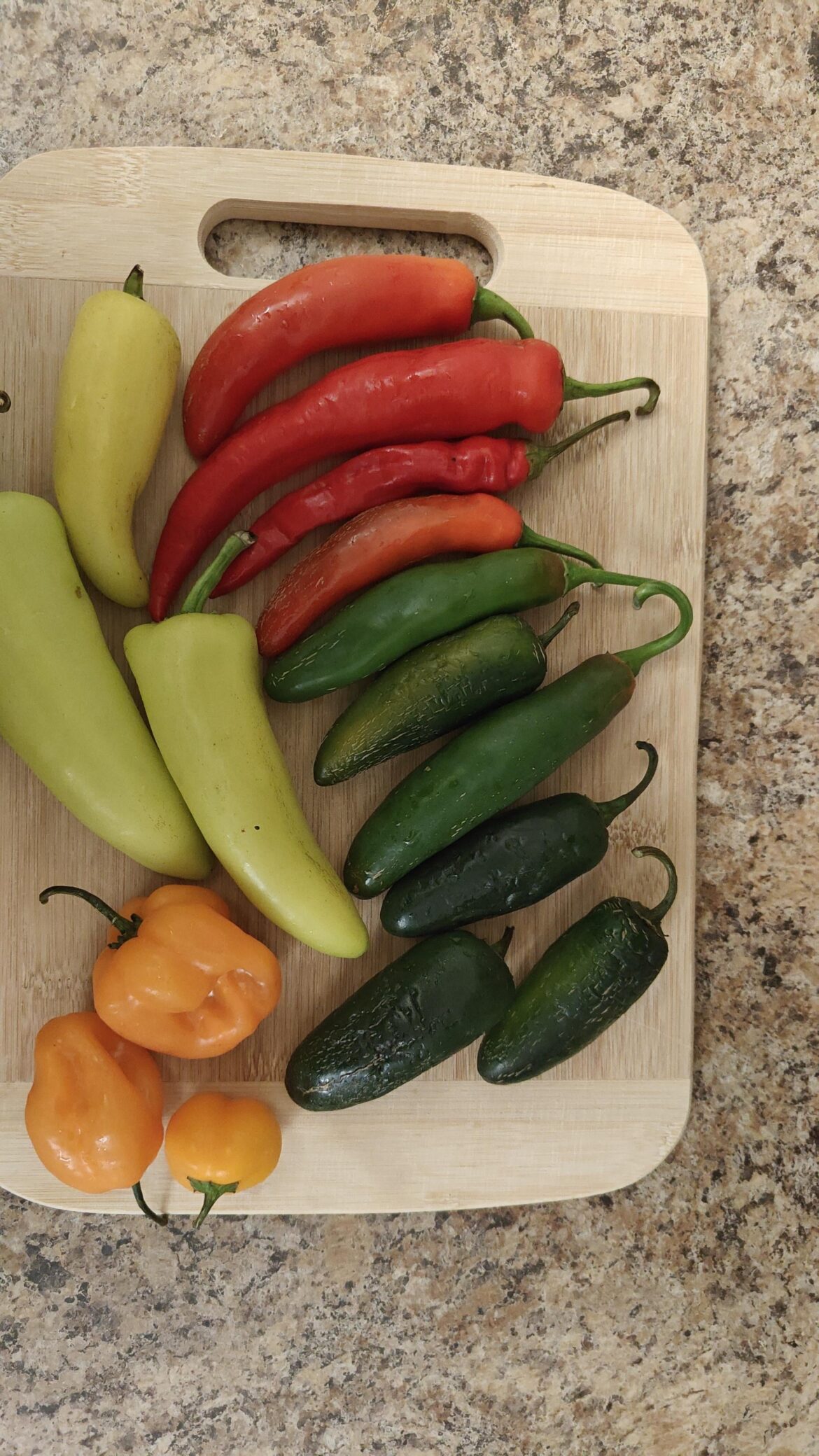 My sister gave me these spicy peppers and I don't know how to preserve /consume them