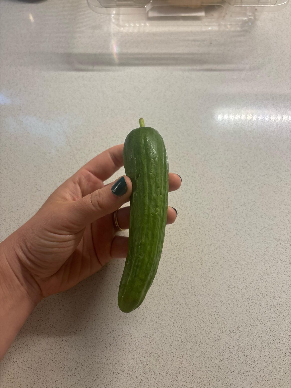 Is this a cucumber for ants?