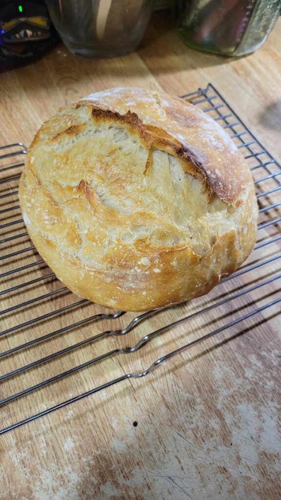 First Go. I Think I Did It!