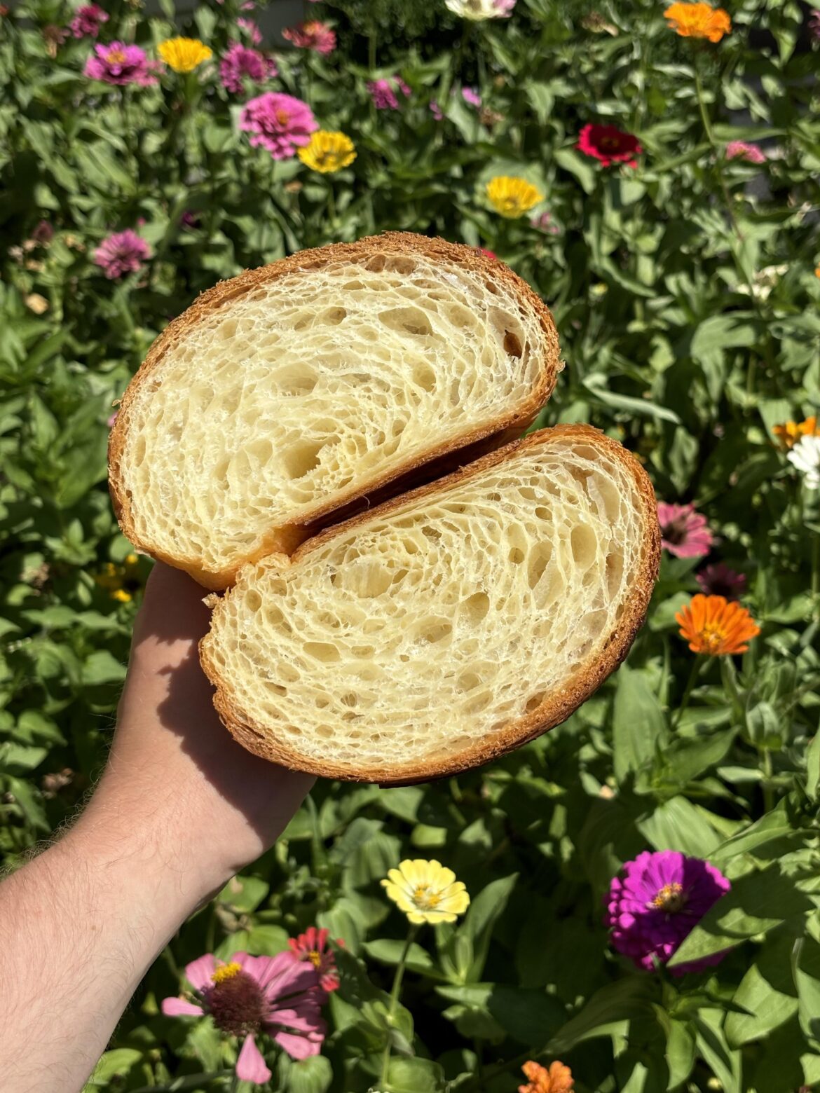 My favorite croissant picture recently!