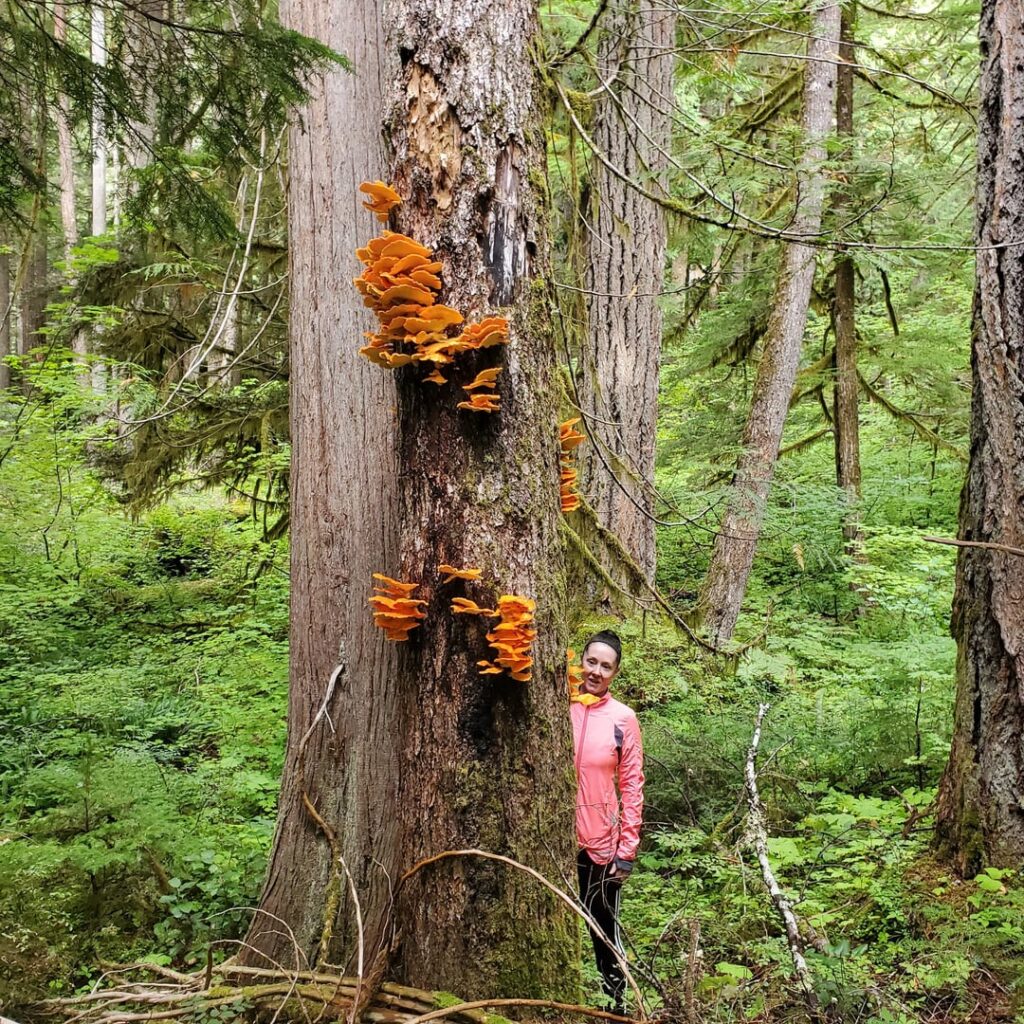 Tri tip with wild foraged mushrooms Tri tip with wild foraged mushrooms