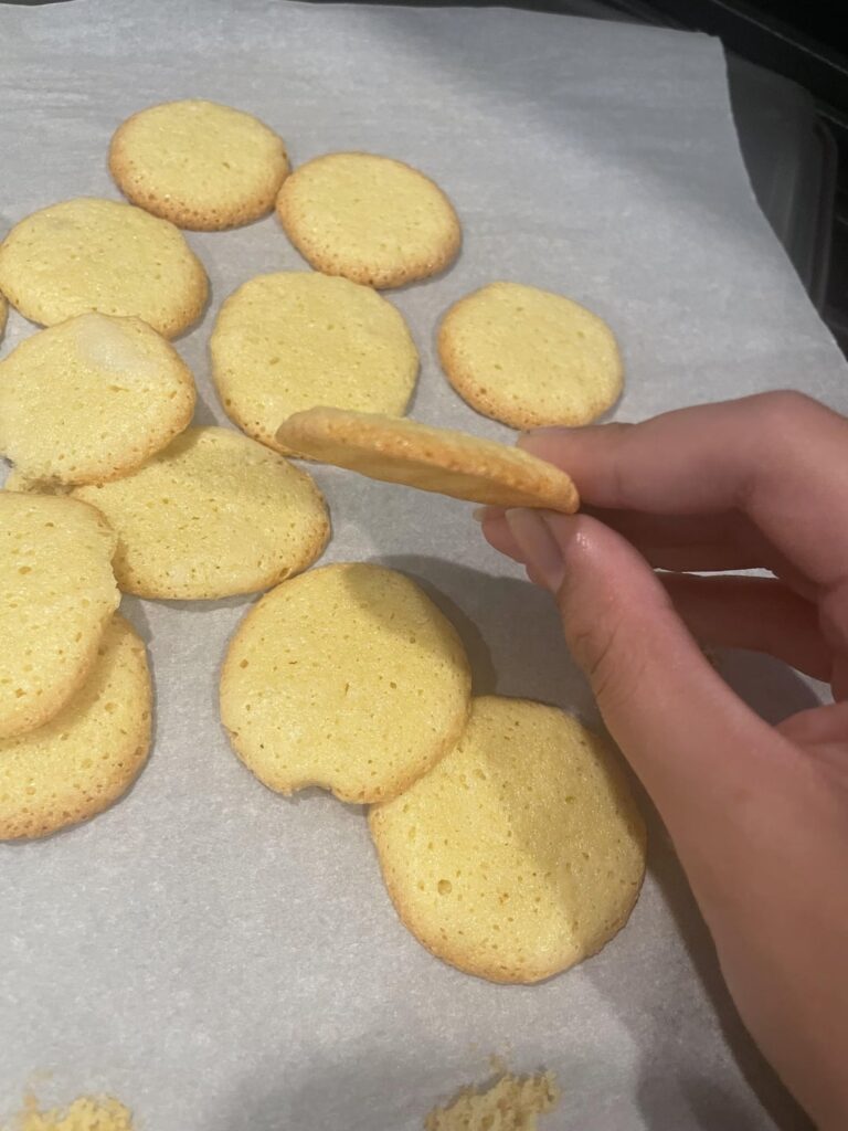 Need Advice! Need Advice!