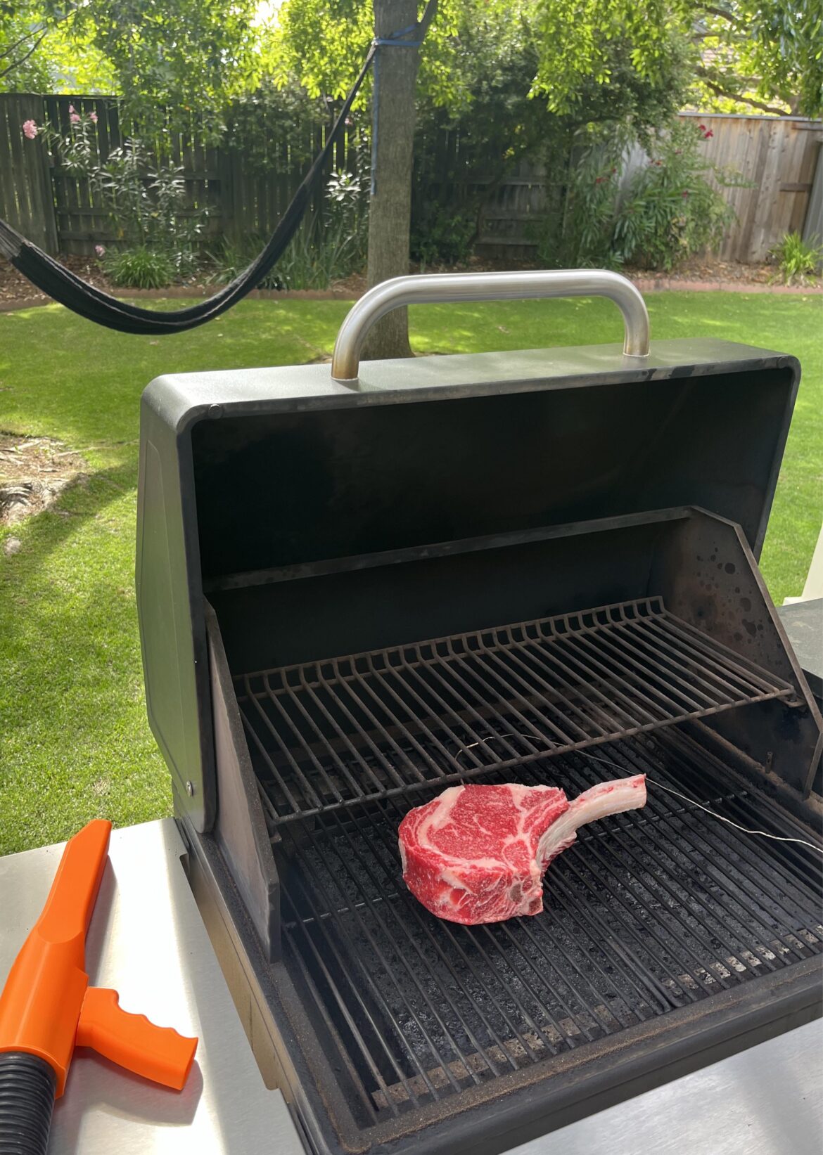 Costco Tomahawk on the Silverline