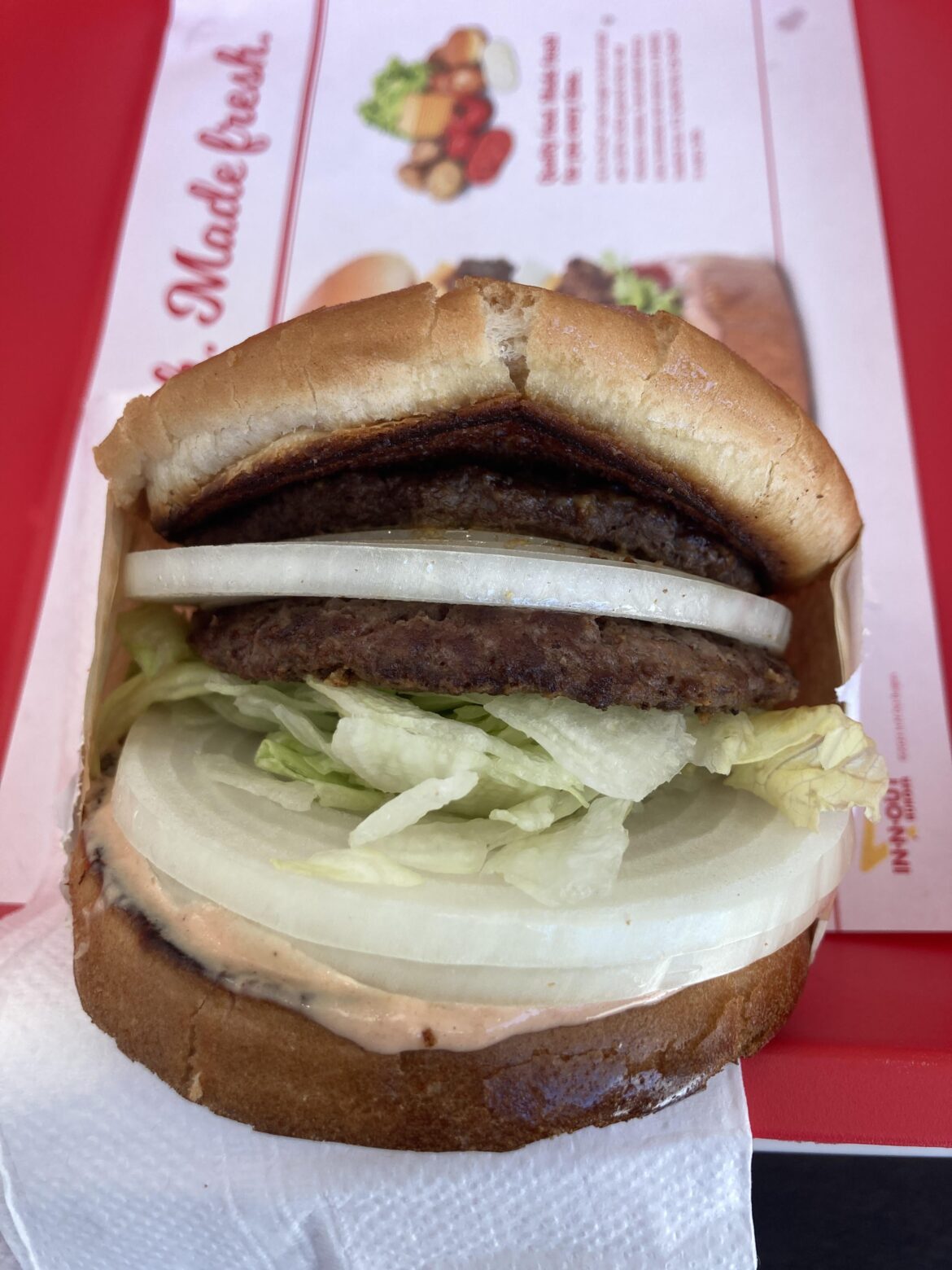 In N Out Onion burger