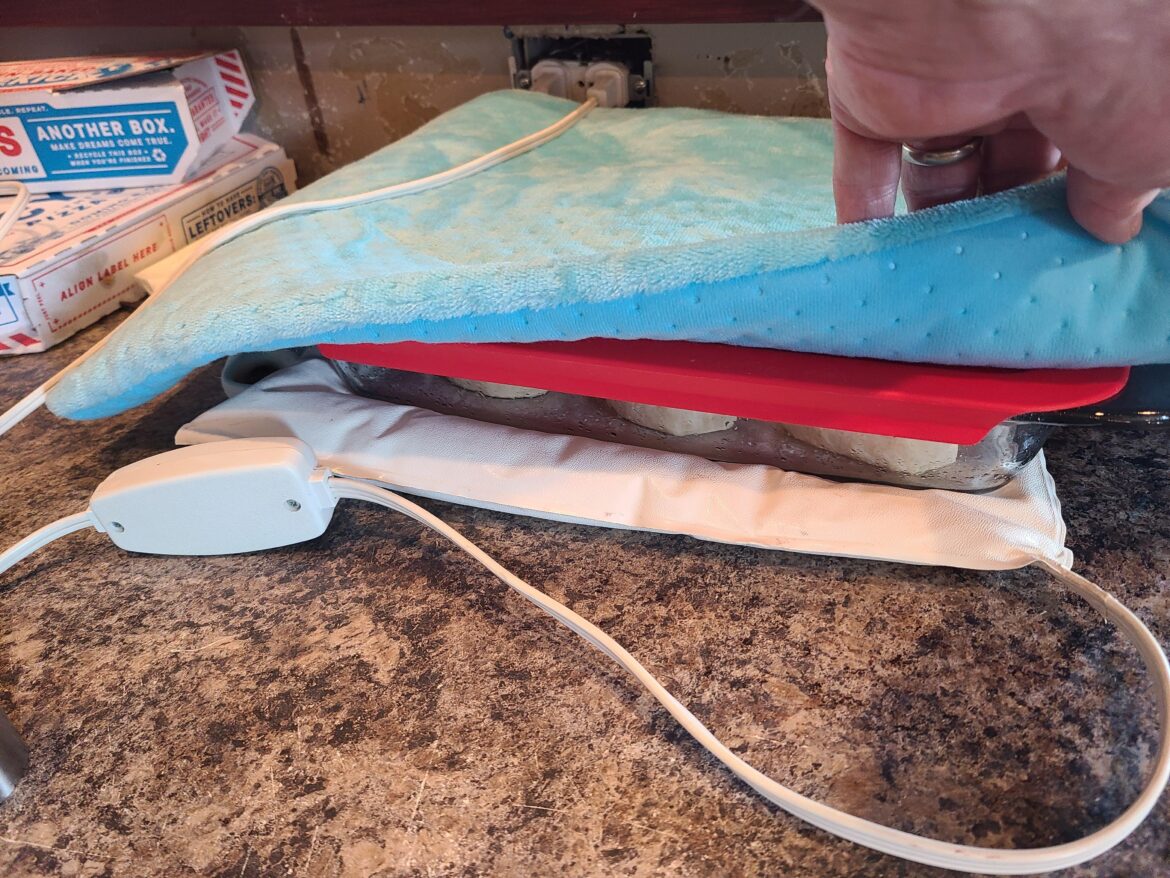 Rhodes cinnamon roll hack? Rhodes cinnamon roll hack?