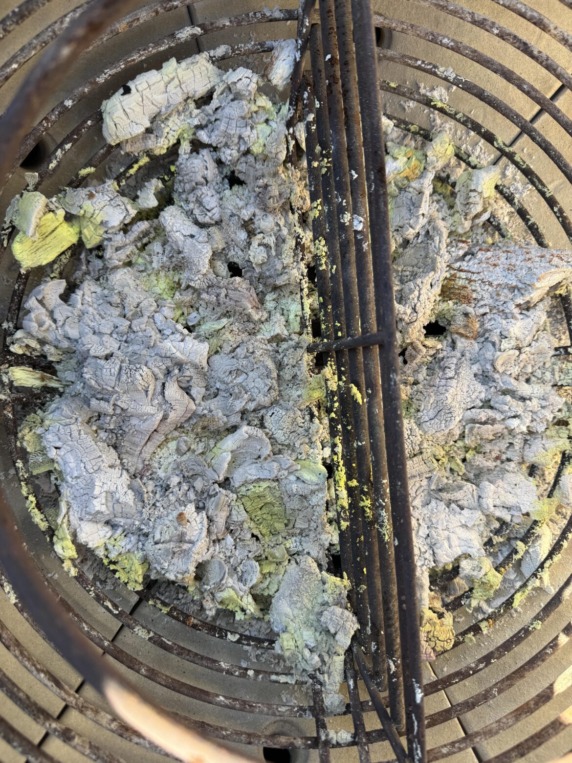 Does this ash look normal?