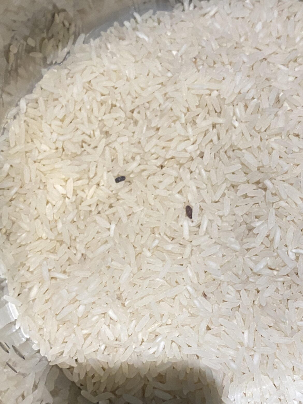 Just started using Hello Fresh again and I already have to cancel :(