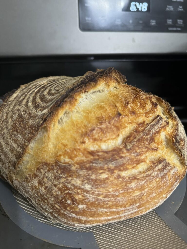 First loaf check in