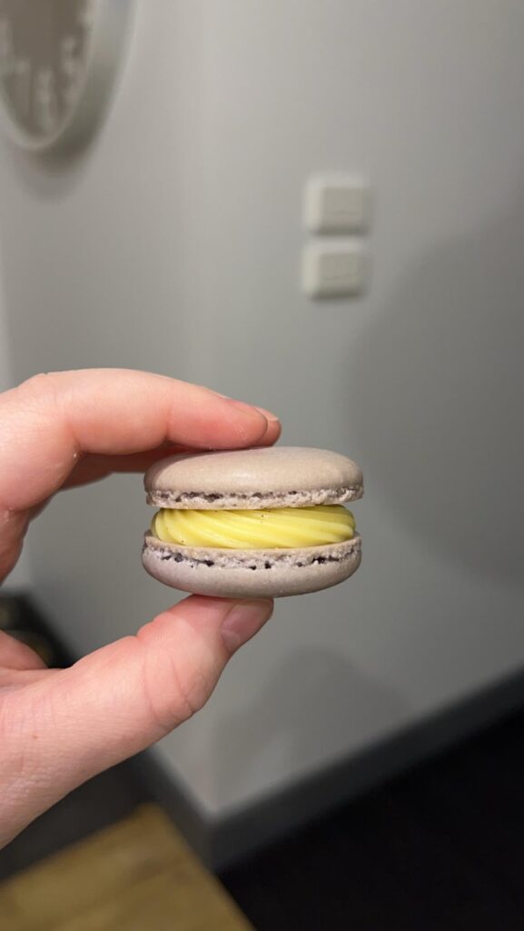 Looking for feedback