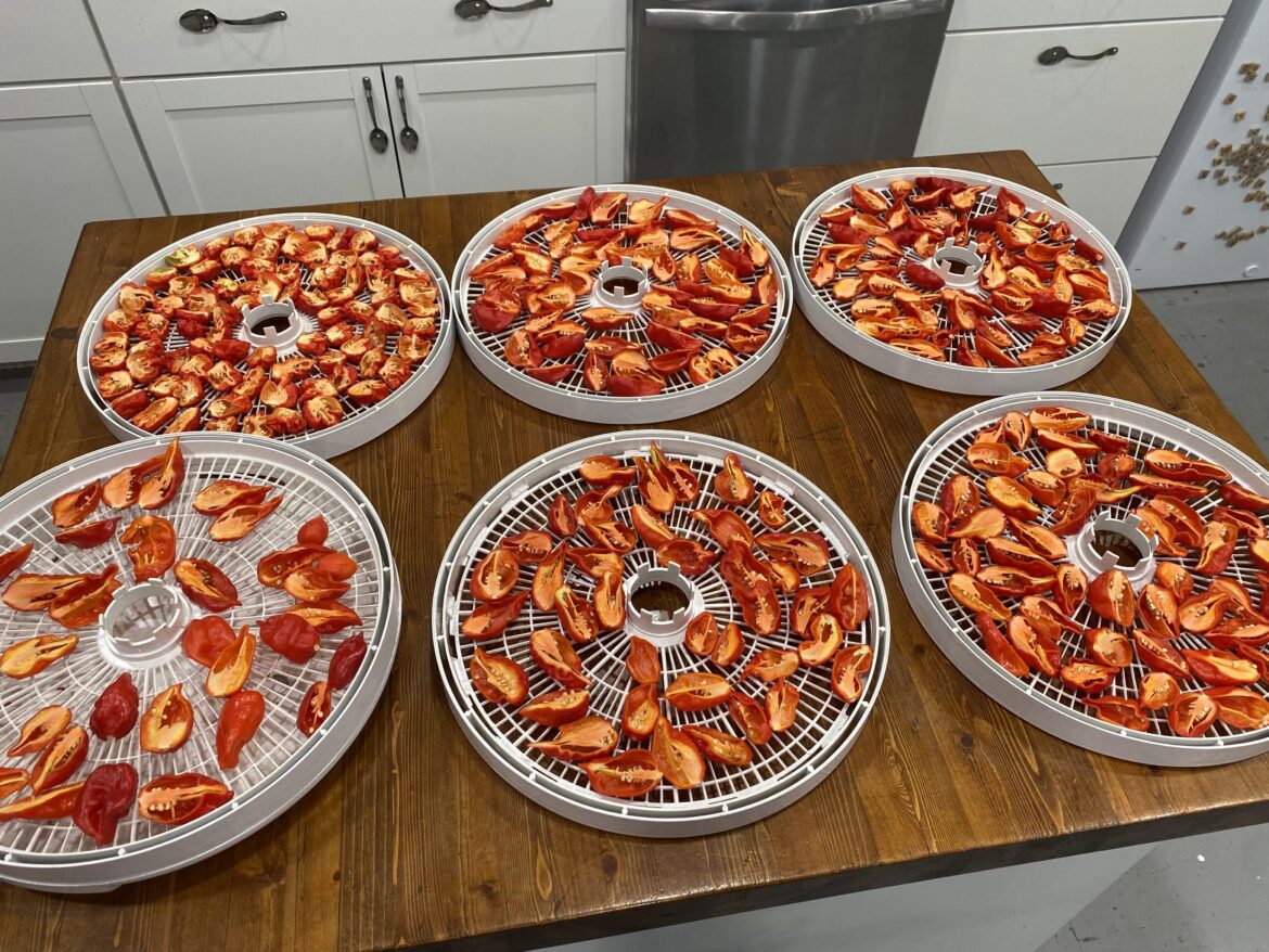 Getting ready to get spicy