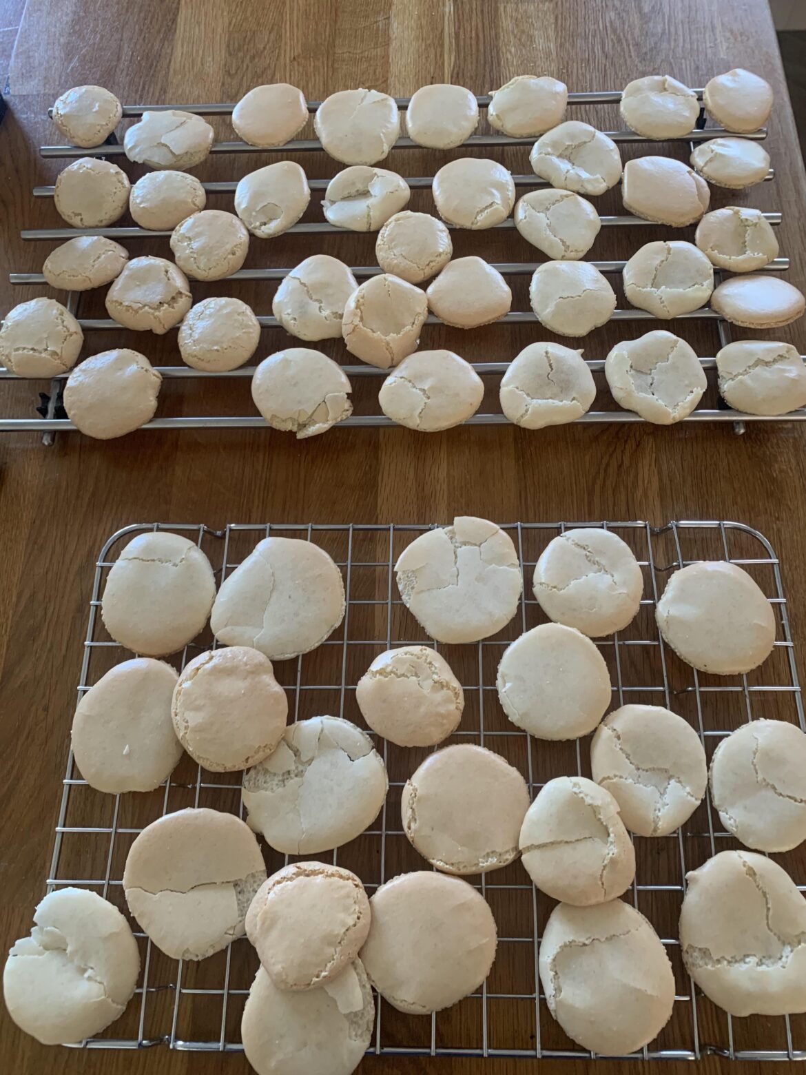 Macaron troubleshooting