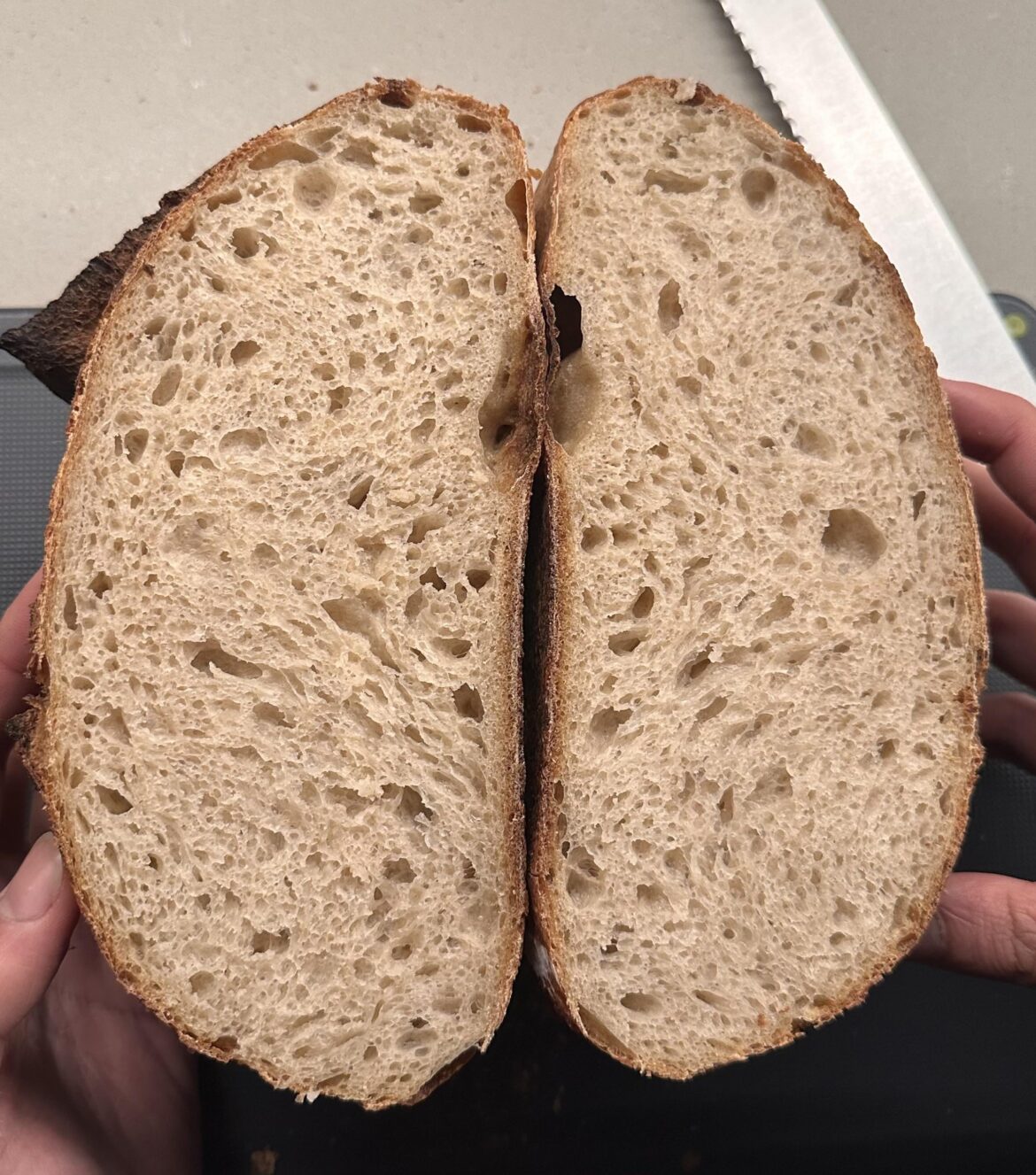 Is this overproofed? How can I get a more open crumb?