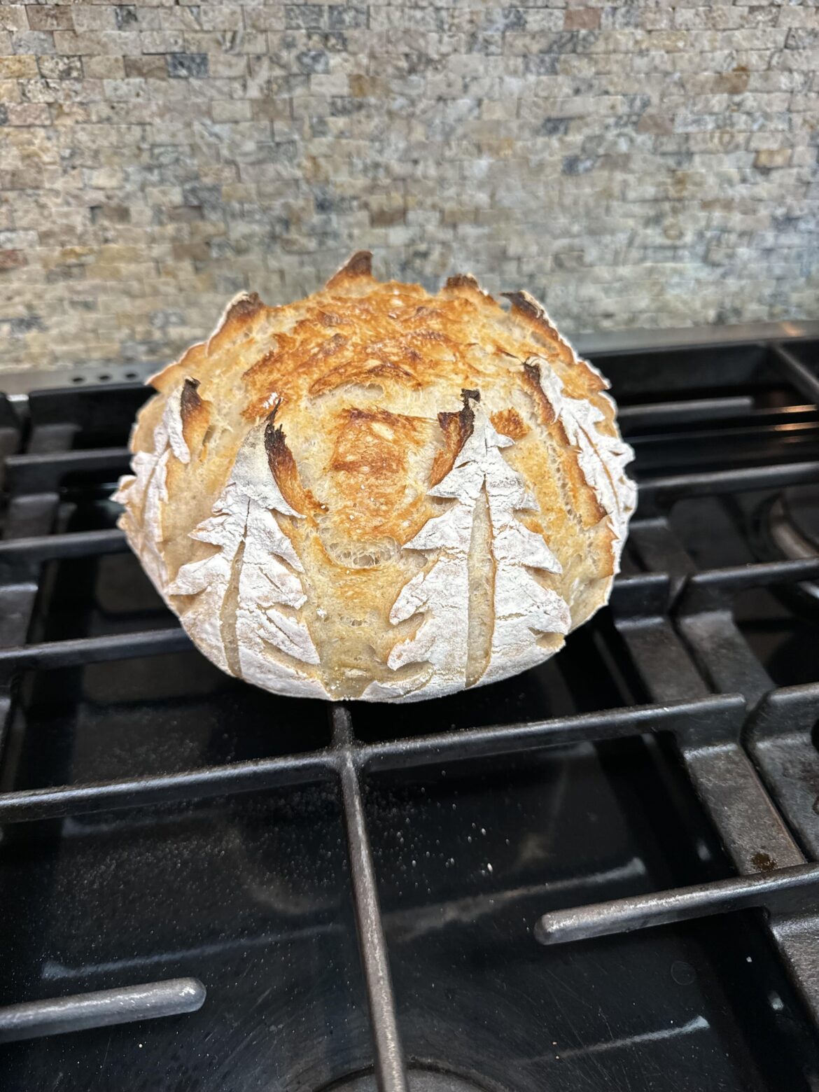 My dads first crack at some holiday dough!