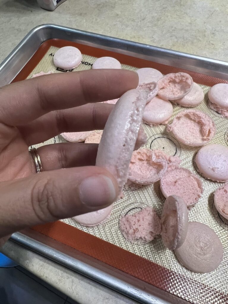 Advise Needed: Please Help!