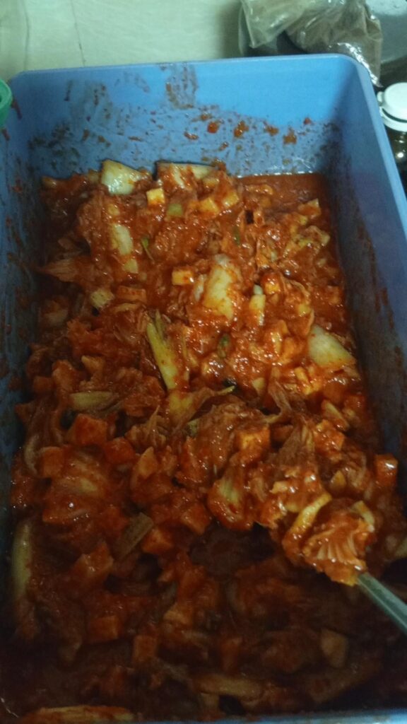 plant-based kimchi