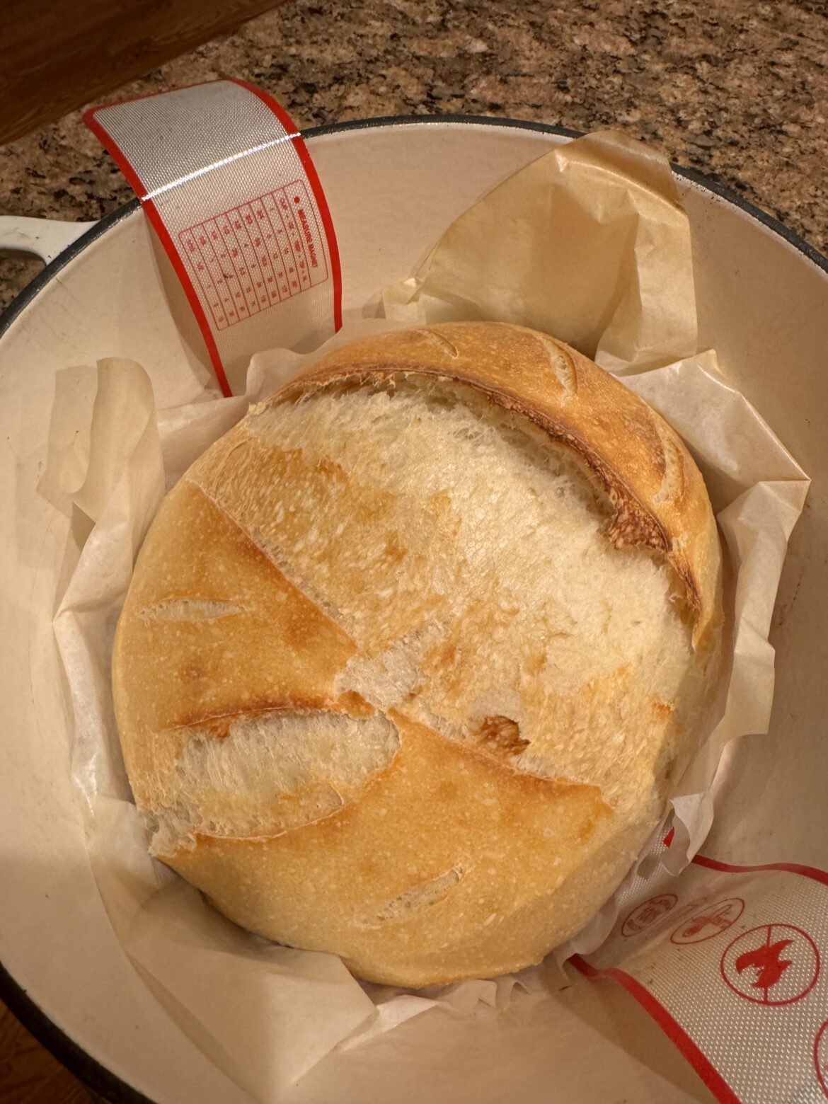 My girlfriend’s 🍞