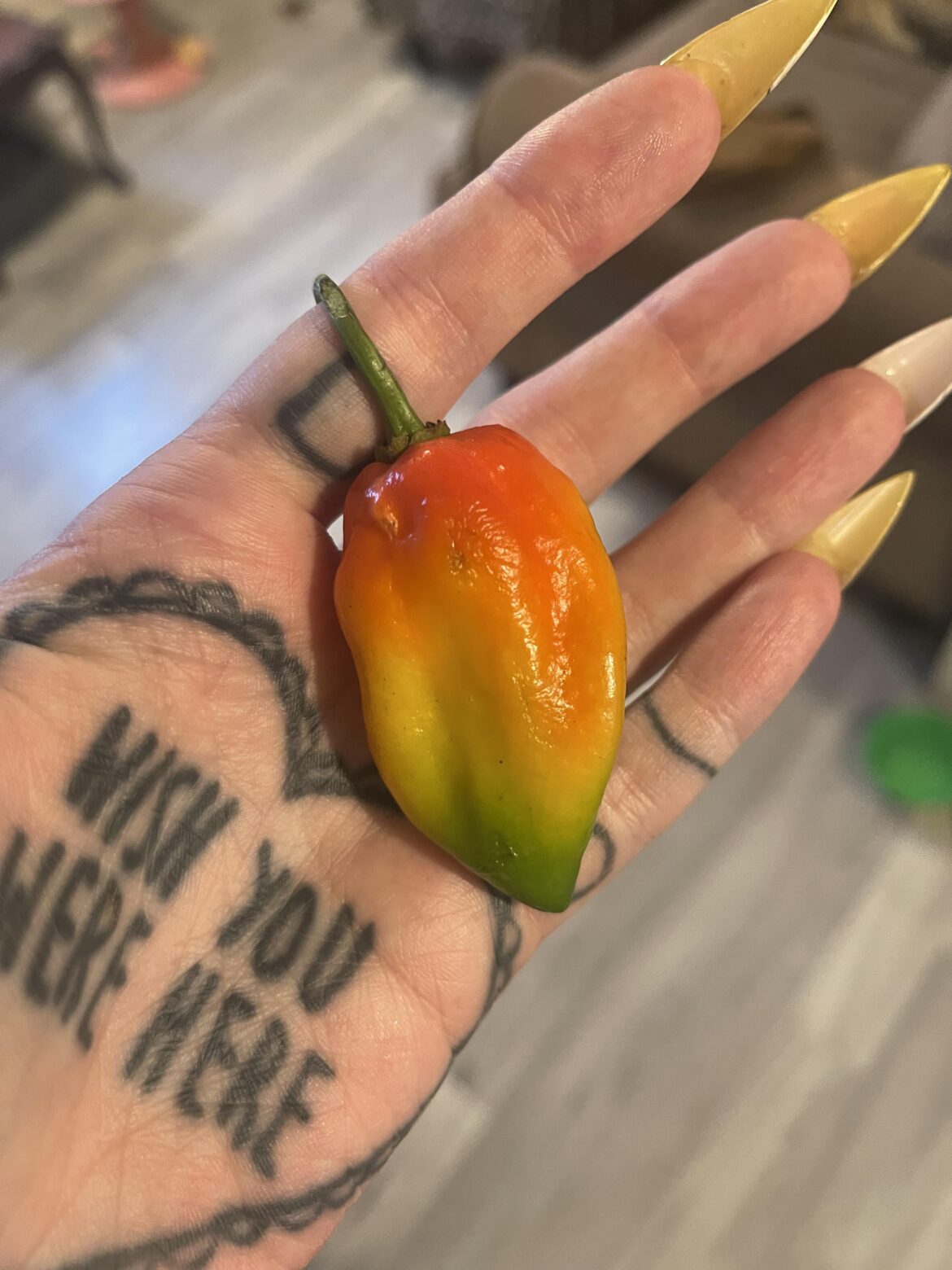 the prettiest lil pepper