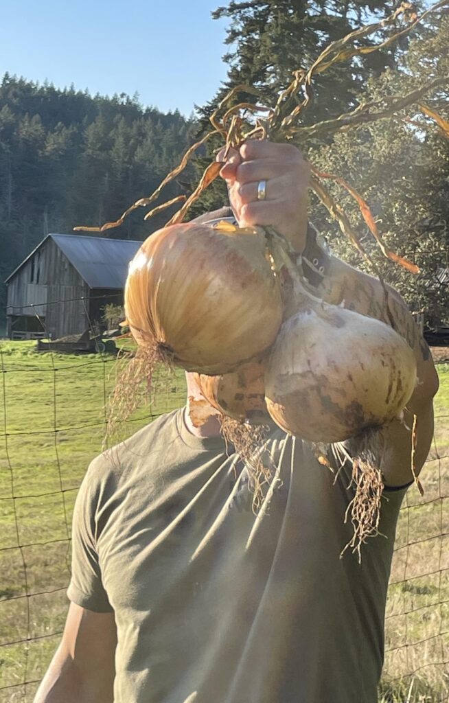 Check out these 3lb onions I grew!