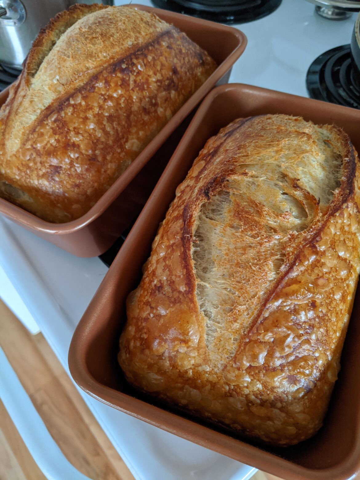 Perfection--double fed levain, overnight cold proof