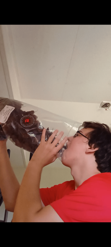 What to do with Ghost Peppers